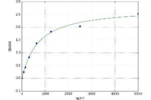 Calsequestrin 1 (CASQ1) ELISA Kit