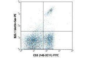 Flow Cytometry (FACS) image for anti-V alpha 2 TCR antibody (Biotin) (ABIN2661294) (V alpha 2 TCR anticorps (Biotin))