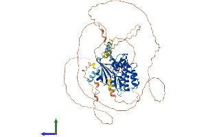 AlphaFold protein structure predicition of Human Recombinant DCLK3 Protein, UniprotID Q9C098