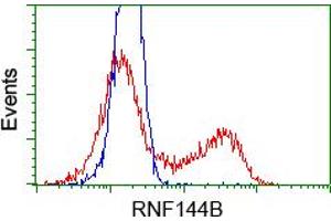 HEK293T cells transfected with either RC209302 overexpress plasmid(Red) or empty vector control plasmid(Blue) were immunostained by anti-RNF144B antibody(TA500698), and then analyzed by flow cytometry.