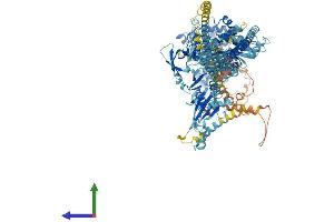 AlphaFold protein structure predicition of Human Recombinant MYO6 Protein, UniprotID Q9UM54