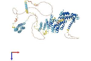 AlphaFold protein structure predicition of Mouse Recombinant Eif3c Protein, UniprotID Q8R1B4