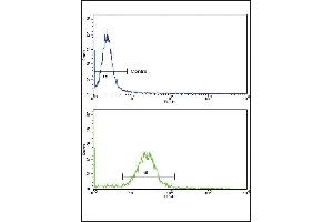 Flow cytometric analysis of MDA-231 cells using EPN3 Antibody (N-term)(bottom histogram) compared to a negative control cell (top histogram). (EPN3 anticorps  (N-Term))