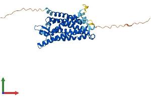 AlphaFold protein structure predicition of Human Recombinant FPR2 Protein, UniprotID P25090