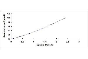 Typical standard curve (CYBB Kit ELISA)