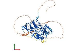 AlphaFold protein structure predicition of Mouse Recombinant Chm Protein, UniprotID Q9QXG2