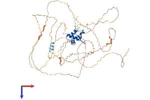 AlphaFold protein structure predicition of Mouse Recombinant Elf2 Protein, UniprotID Q9JHC9
