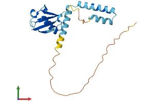 AlphaFold protein structure predicition of Mouse Recombinant Ubl4b Protein, UniprotID Q9CQ84