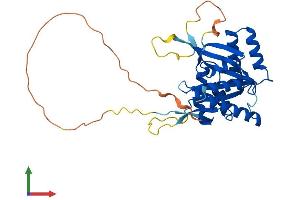 AlphaFold protein structure predicition of Mouse Recombinant Bccip Protein, UniprotID Q9CWI3
