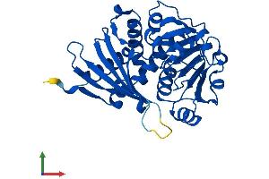 AlphaFold protein structure predicition of Human Recombinant CRYM Protein, UniprotID Q14894