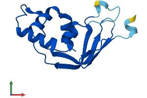 AlphaFold protein structure predicition of Human Recombinant TRMT112 Protein, UniprotID Q9UI30