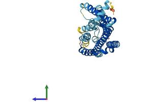 AlphaFold protein structure predicition of Human Recombinant OR3A1 Protein, UniprotID P47881