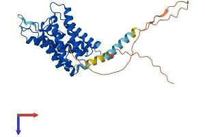 AlphaFold protein structure predicition of Mouse Recombinant Aqp4 Protein, UniprotID P55088