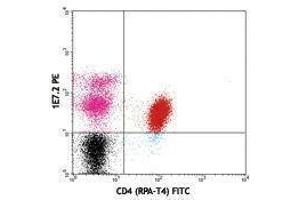 Flow Cytometry (FACS) image for anti-zeta-Chain (TCR) Associated Protein Kinase 70kDa (ZAP70) antibody (PE) (ABIN2663949) (ZAP70 anticorps  (PE))