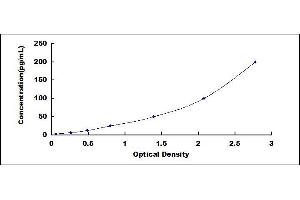 Cathepsin G (CTSG) ELISA Kit