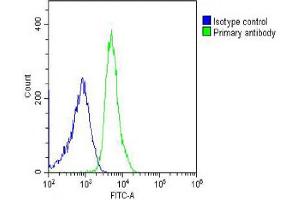 Overlay histogram showing U-2OS cells stained with C (green line).