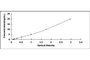 Typical standard curve (Fascin Kit ELISA)