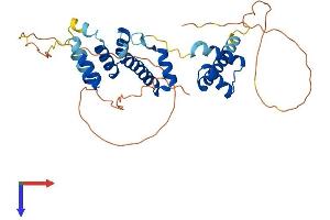 AlphaFold protein structure predicition of Mouse Recombinant Six3 Protein, UniprotID Q62233