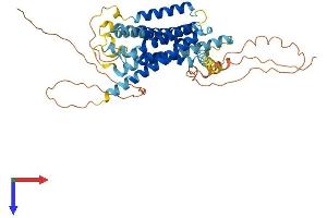 AlphaFold protein structure predicition of Mouse Recombinant Gpr135 Protein, UniprotID Q7TQP2