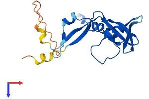 AlphaFold protein structure predicition of Mouse Recombinant Rnaseh2c Protein, UniprotID Q9CQ18