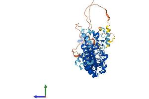 AlphaFold protein structure predicition of Mouse Recombinant Asb2 Protein, UniprotID Q8K0L0