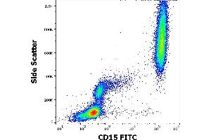 Flow cytometry surface staining pattern of human peripheral whole blood stained using anti-human CD15 (MEM-158) FITC antibody (20 μL reagent / 100 μL of peripheral whole blood). (CD15 anticorps  (FITC))