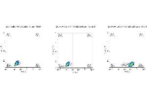 FACS Analysis of Anti-MSLN CAR Expression.