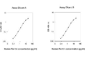 ELISA image for Ferritin (FE) ELISA Kit (ABIN624974)