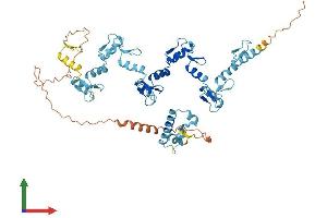 AlphaFold protein structure predicition of Human Recombinant ZNF626 Protein, UniprotID Q68DY1