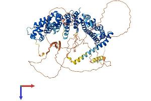 AlphaFold protein structure predicition of Mouse Recombinant Ppp6r3 Protein, UniprotID Q922D4