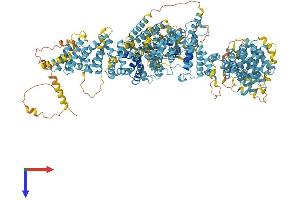 AlphaFold protein structure predicition of Mouse Recombinant Fanca Protein, UniprotID Q9JL70