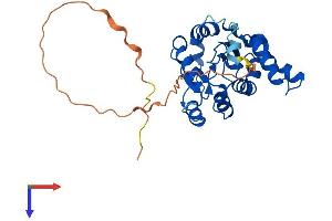 AlphaFold protein structure predicition of Mouse Recombinant Cmss1 Protein, UniprotID Q9CZT6
