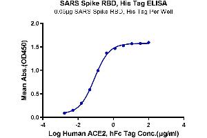 Immobilized SARS Spike RBD at 0.