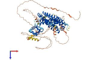AlphaFold protein structure predicition of Mouse Recombinant Rfx2 Protein, UniprotID P48379
