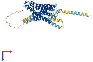 AlphaFold protein structure predicition of Human Recombinant GPR87 Protein, UniprotID Q9BY21