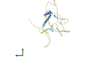 AlphaFold protein structure predicition of Mouse Recombinant Hmx3 Protein, UniprotID P42581