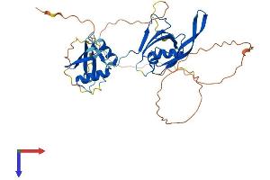 AlphaFold protein structure predicition of Human Recombinant PARD6B Protein, UniprotID Q9BYG5