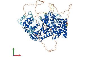 AlphaFold protein structure predicition of Mouse Recombinant Fam120b Protein, UniprotID Q6RI63