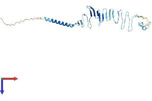 AlphaFold protein structure predicition of Mouse Recombinant Sgcg Protein, UniprotID P82348