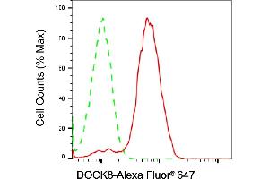 Flow cytometric analysis of DOCK8 expression in Raji cells using DOCK8 antibody (ABIN7798301), 1:2,000).