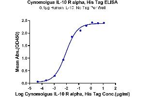 Immobilized Human IL-10, No Tag at 1 μg/mL (100 μL/well) on the plate.