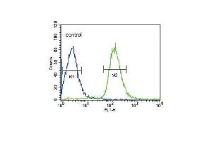ALB Antibody (C-term) (ABIN390450 and ABIN2840824) flow cytometric analysis of HepG2 cells (right histogram) compared to a negative control cell (left histogram). (Albumin anticorps  (C-Term))