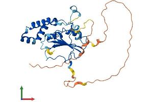 AlphaFold protein structure predicition of Mouse Recombinant Mettl8 Protein, UniprotID A2AUU0
