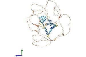 AlphaFold protein structure predicition of Human Recombinant CKAP2L Protein, UniprotID Q8IYA6