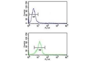 Olig3 antibody flow cytometric analysis of U251 cells (bottom histogram) compared to a negative control (top histogram).