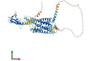 AlphaFold protein structure predicition of Mouse Recombinant Glp2r Protein, UniprotID Q5IXF8
