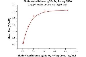 Immobilized Mouse CD16-2, His Tag (ABIN6731239,ABIN6809892,ABIN6951007) at 5 μg/mL (100 μL/well) can bind Biotinylated Mouse IgG2a Fc, Avitag (ABIN2870572,ABIN2870573) with a linear range of 0. (HEK-293 Cells IgG isotype control (AVI tag,Biotin))