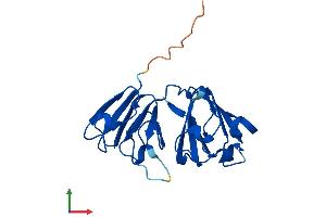 AlphaFold protein structure predicition of Mouse Recombinant Cryba1 Protein, UniprotID P02525