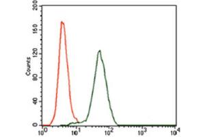 Flow Cytometry (FACS) image for anti-Kelch-Like ECH-Associated Protein 1 (KEAP1) (AA 380-624) antibody (ABIN1846111)