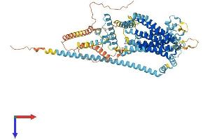 AlphaFold protein structure predicition of Human Recombinant TMC6 Protein, UniprotID Q7Z403